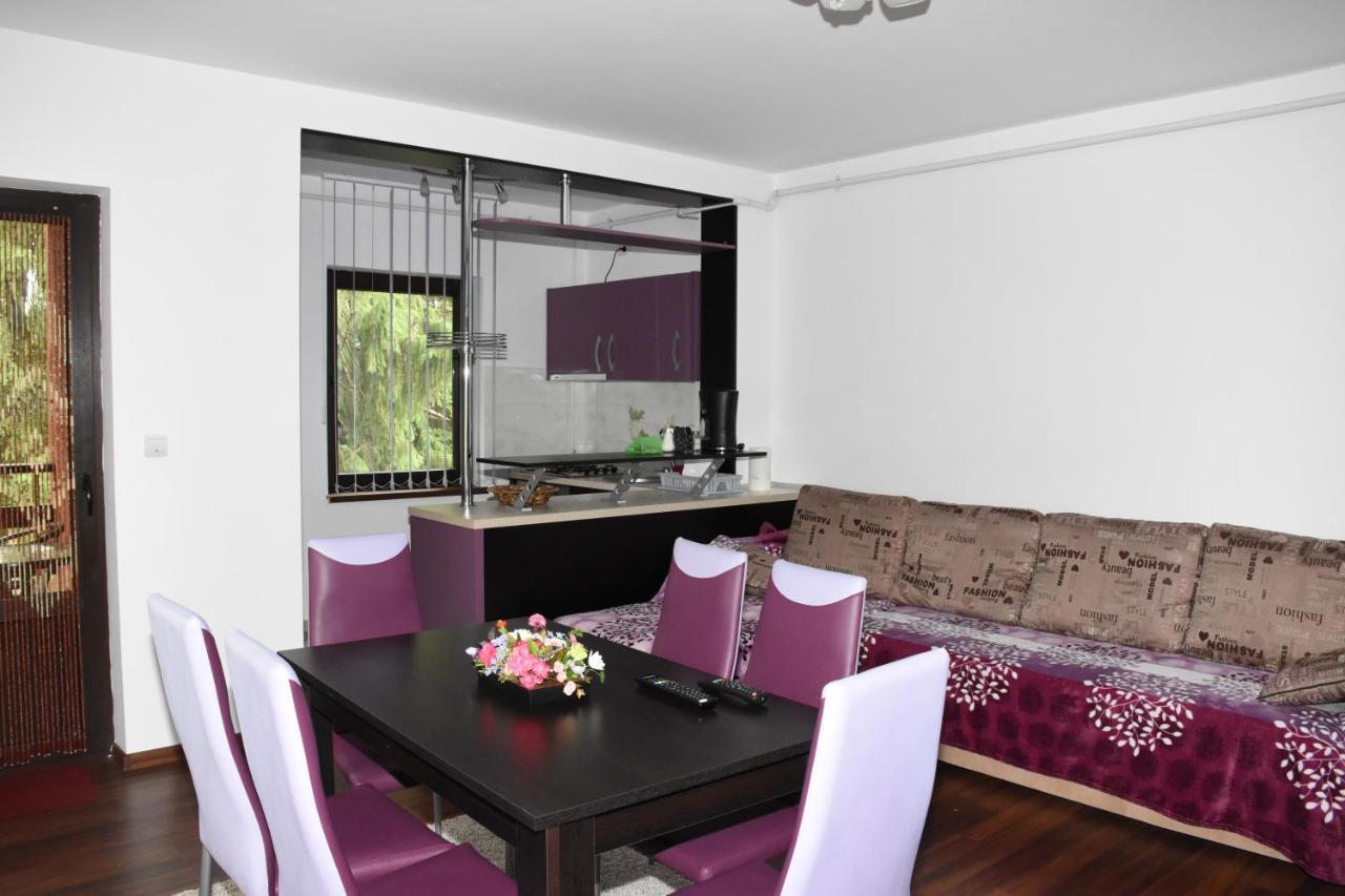 Hotel Apartament Eldya Comfort&Suites Predeal Zewnętrze zdjęcie