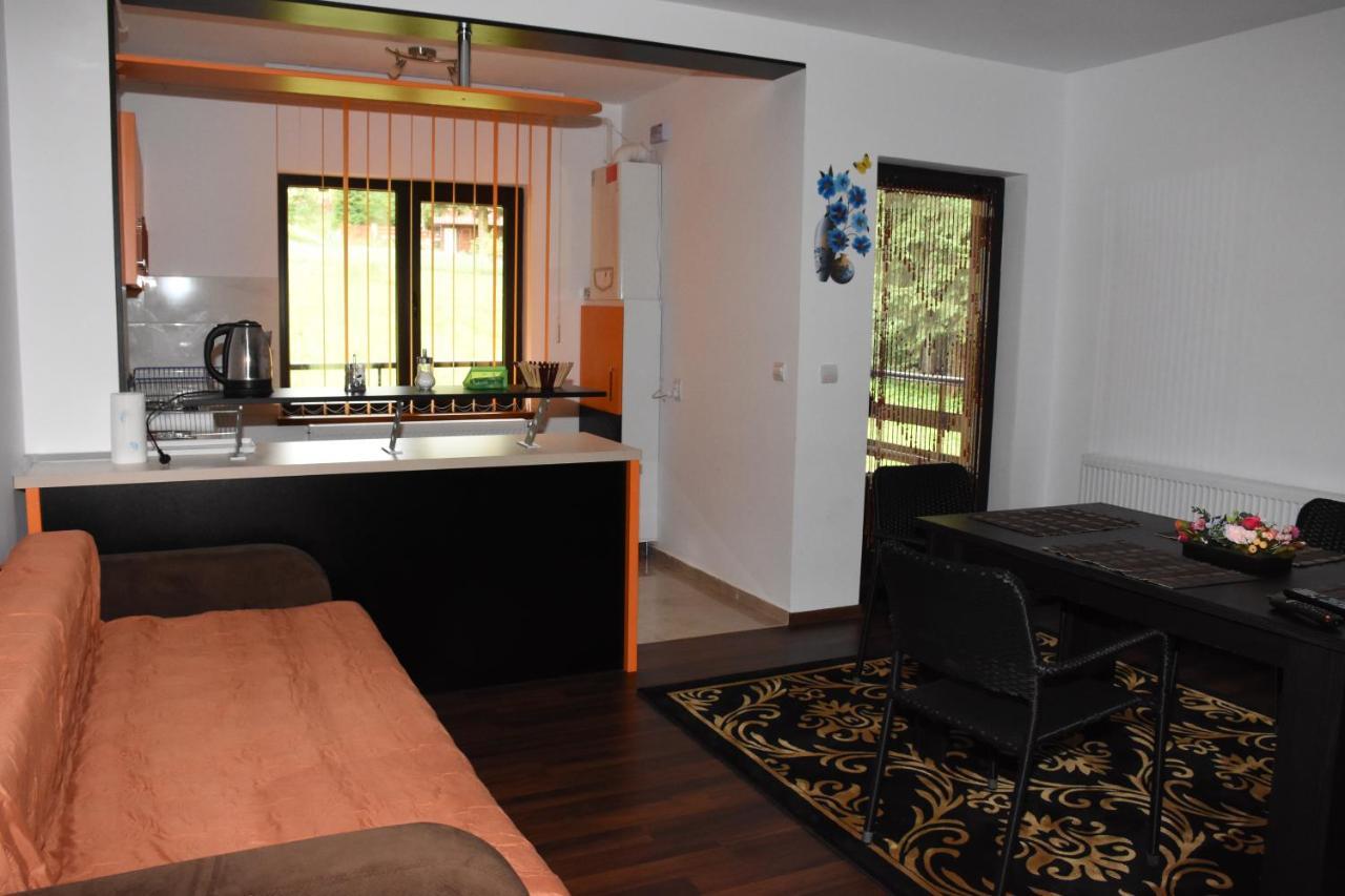Hotel Apartament Eldya Comfort&Suites Predeal Zewnętrze zdjęcie