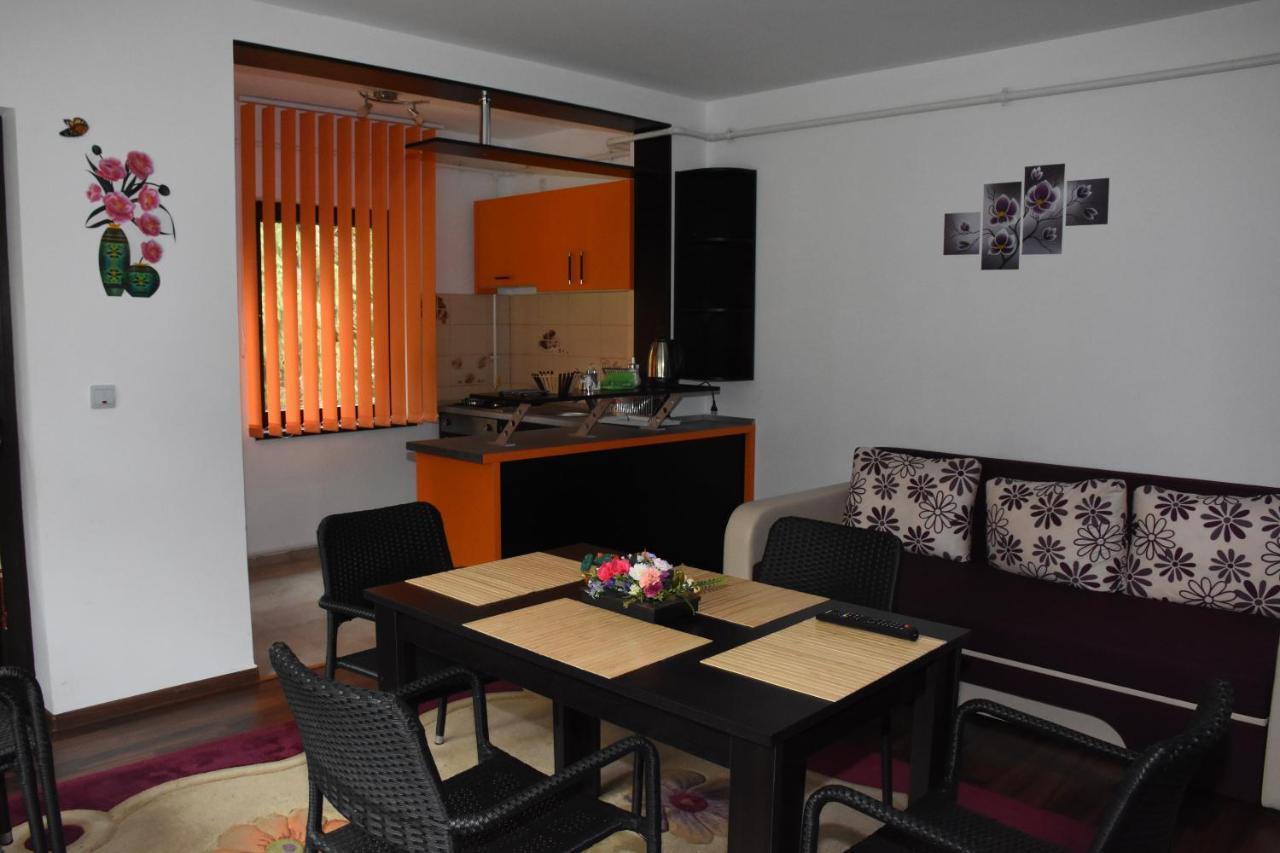 Hotel Apartament Eldya Comfort&Suites Predeal Zewnętrze zdjęcie
