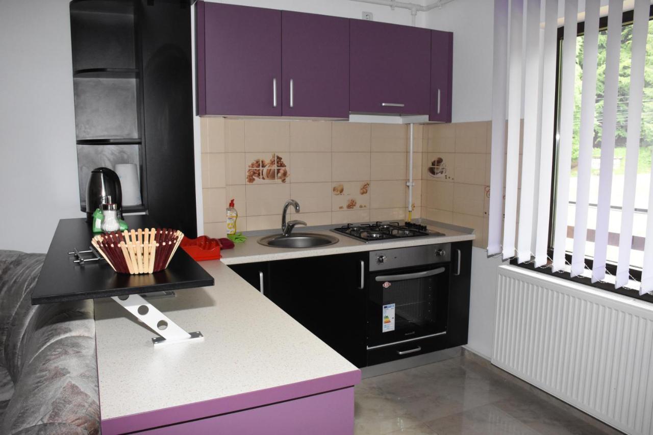 Hotel Apartament Eldya Comfort&Suites Predeal Zewnętrze zdjęcie